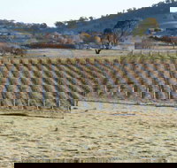 Patina Wines - Sunshine Coast Tourism