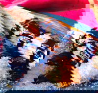 Pier Street Kitchen - Sunshine Coast Tourism