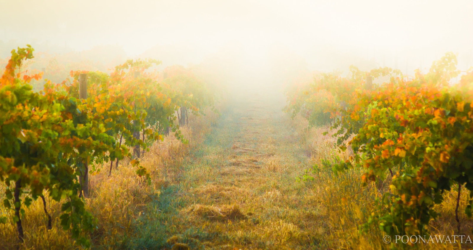 Flaxman Valley SA Sunshine Coast Tourism