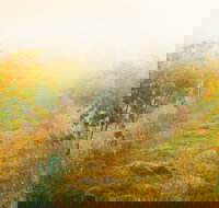 Poonawatta - Sunshine Coast Tourism