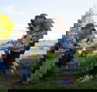 Sunhill Dairy Goats and Sunhill Skin Essentials - Sunshine Coast Tourism