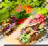 Sushi Rail - Sunshine Coast Tourism