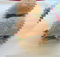 Taylor's Seafood - Sunshine Coast Tourism