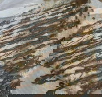 The Chocolate Well - Sunshine Coast Tourism