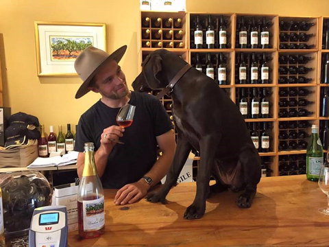 Vinden Estate Wines - Holiday Sunshine Coast 1