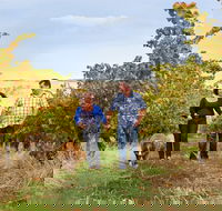 WayWood Wines - Holiday Sunshine Coast