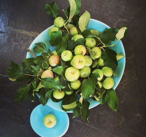 Seed Winehouse + Kitchen - Sunshine Coast Tourism 6