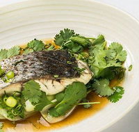 The Mossy Cafe - Sunshine Coast Tourism