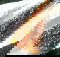 A Brothers Kebabs  Pizzas - Sunshine Coast Tourism