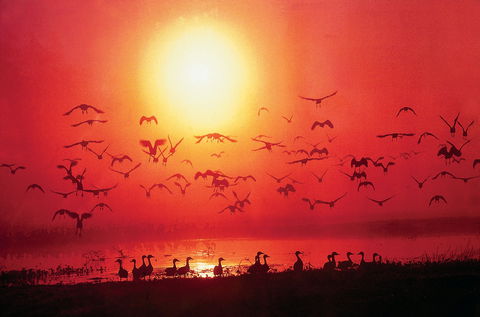 Four Birds - Sunshine Coast Tourism 0