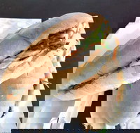 Lunch Bake - Holiday Sunshine Coast