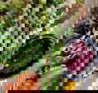 Stone cold - Sunshine Coast Tourism