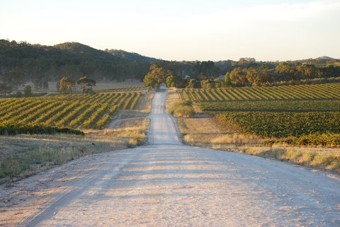 Stone Bridge Wines - Sunshine Coast Tourism 0