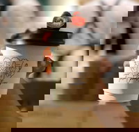 Three Chocolatiers - Penrith - Sunshine Coast Tourism