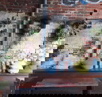 Toastface Grillah - Sunshine Coast Tourism