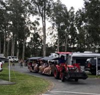Barrow  Bear Coffee - Holiday Sunshine Coast