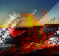 Black Dog Brewery - Sunshine Coast Tourism