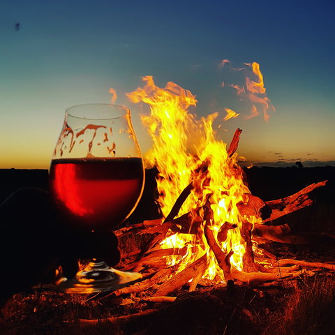 Black Dog Brewery - Sunshine Coast Tourism 0