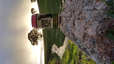 Black Dog Brewery - Sunshine Coast Tourism 2