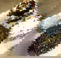 Frollicking Frog - Holiday Sunshine Coast