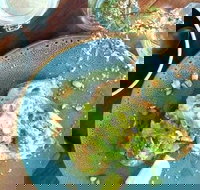 Ground New Farm - Holiday Sunshine Coast