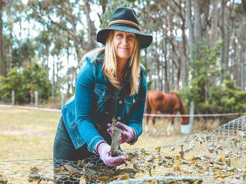 MbK For Life - Mystery Bay Kelp - Sunshine Coast Tourism 0
