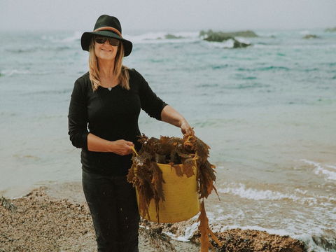 MbK For Life - Mystery Bay Kelp - Sunshine Coast Tourism 2