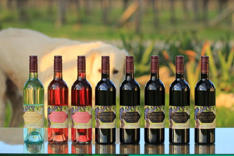 Mount Benson Estate - Sunshine Coast Tourism 0