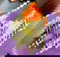 Oishi Ya - Sunshine Coast Tourism