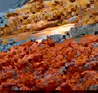 Spice Blast - Sunshine Coast Tourism