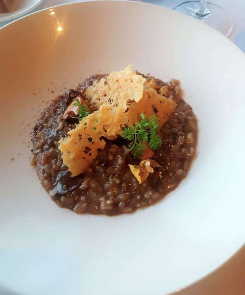 Wild Dog Restaurant - Holiday Sunshine Coast 0