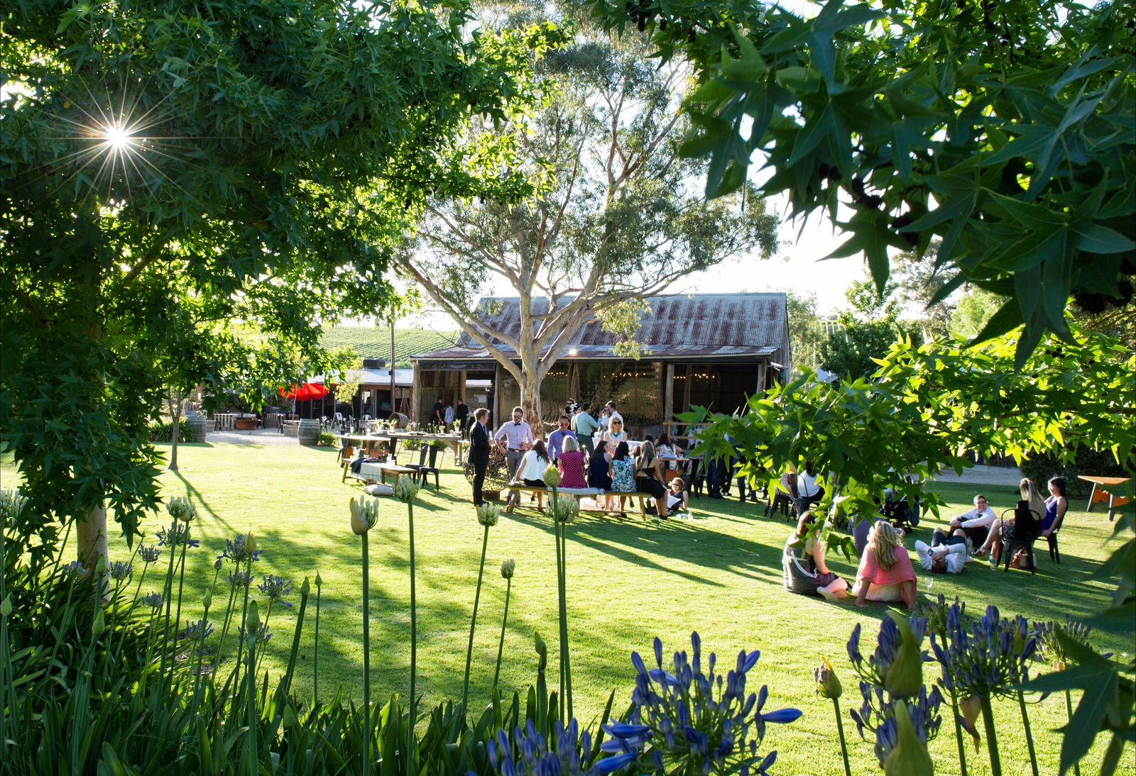 Woodside SA Sunshine Coast Tourism