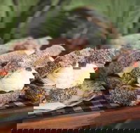 Bridge 2 Eden - Holiday Sunshine Coast