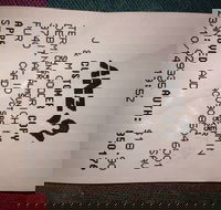 Bubba Pizza - Mount Barker - Sunshine Coast Tourism