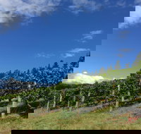 Freycinet Vineyard - Sunshine Coast Tourism