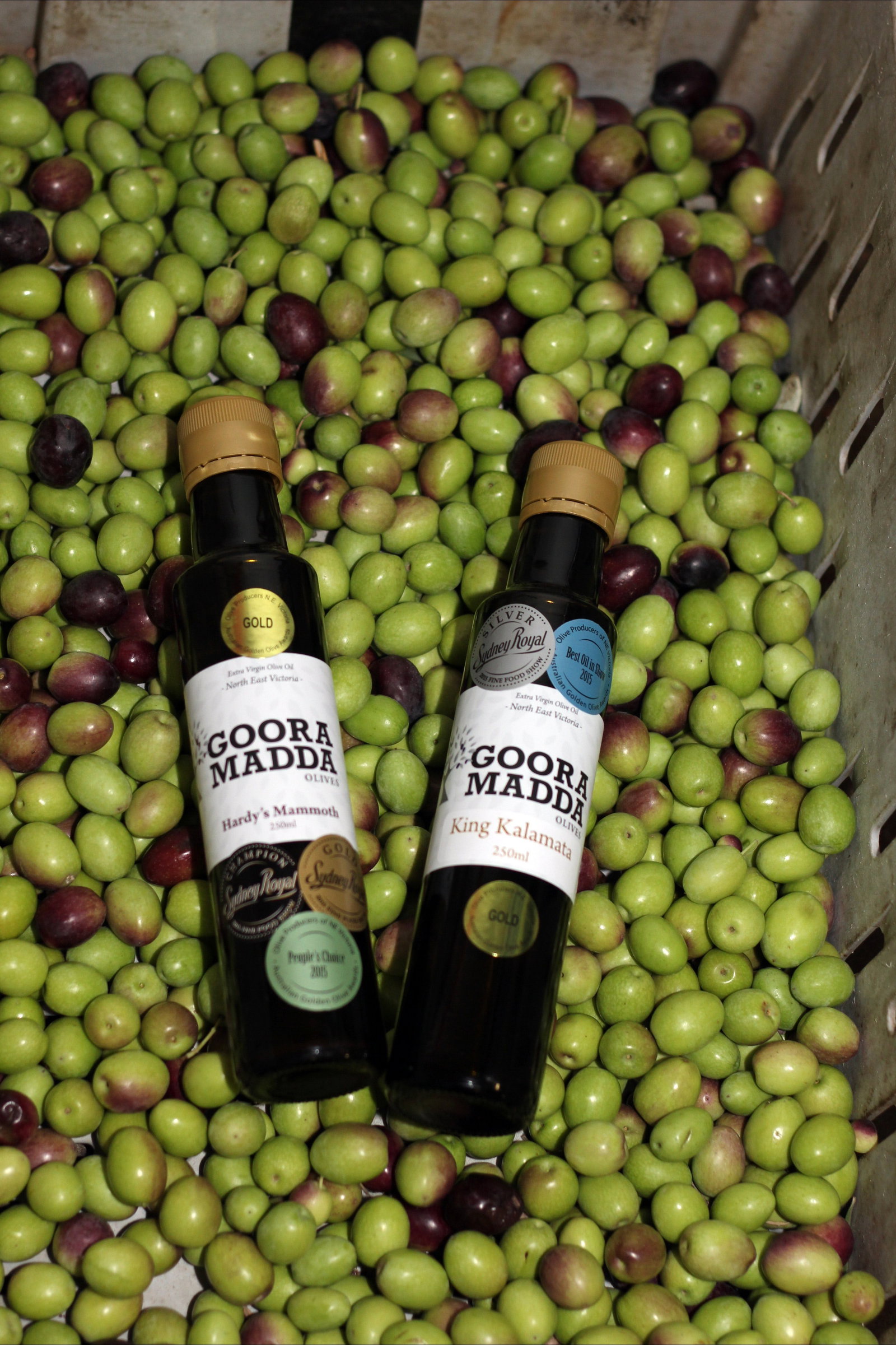 Gooramadda VIC Holiday Sunshine Coast