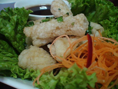 Green Bamboo - Holiday Sunshine Coast 0