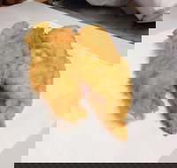 Hooked and Cooked Fish and Chips - Holiday Sunshine Coast