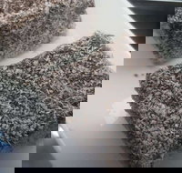 Latte  Cream - Sunshine Coast Tourism