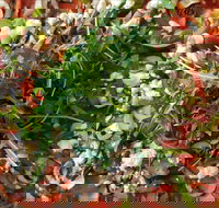 Mount Buninyong Winery - Sunshine Coast Tourism