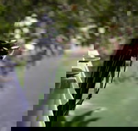 Noosa Waterfront Restaurant - Sunshine Coast Tourism