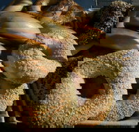 NYC Bagel Deli  Cafe - West End - Sunshine Coast Tourism