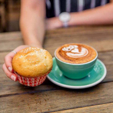 Rogue District - Sunshine Coast Tourism 0