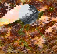 Soprano's Pizza - Sunshine Coast Tourism