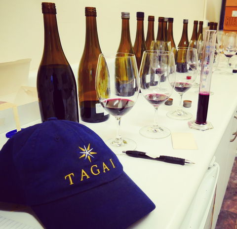 Tagai - Holiday Sunshine Coast 2