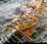 Brisbane Portuguese Family Centre - Holiday Sunshine Coast