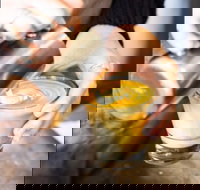 Espresso 3094 - Sunshine Coast Tourism