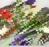 Just Earth - Sunshine Coast Tourism