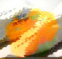 Sushi On James - Sunshine Coast Tourism