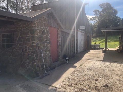 Wilmot Hills Orchard & Distillery - Holiday Sunshine Coast 1